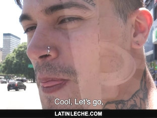 Numero 12 - LatinLeche