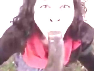 Name of this series or movie?