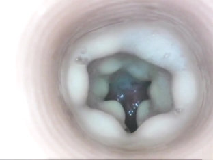 Fleshlight Internal View Cumshot Compilation