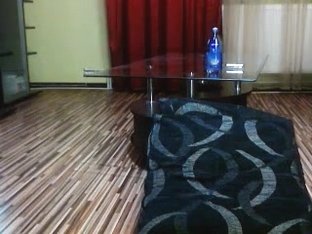 perfect busty and horny