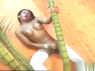 Brazilian TS Solo Action