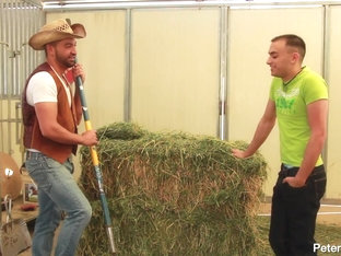 Best Buds  Home On The Range - Peterfever