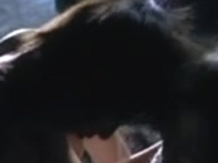 sex scenes in la mujer del abogado